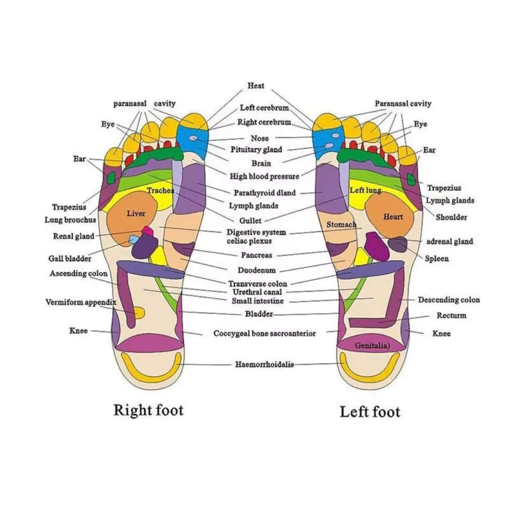 Ankor Shoes Acupoint Slipper