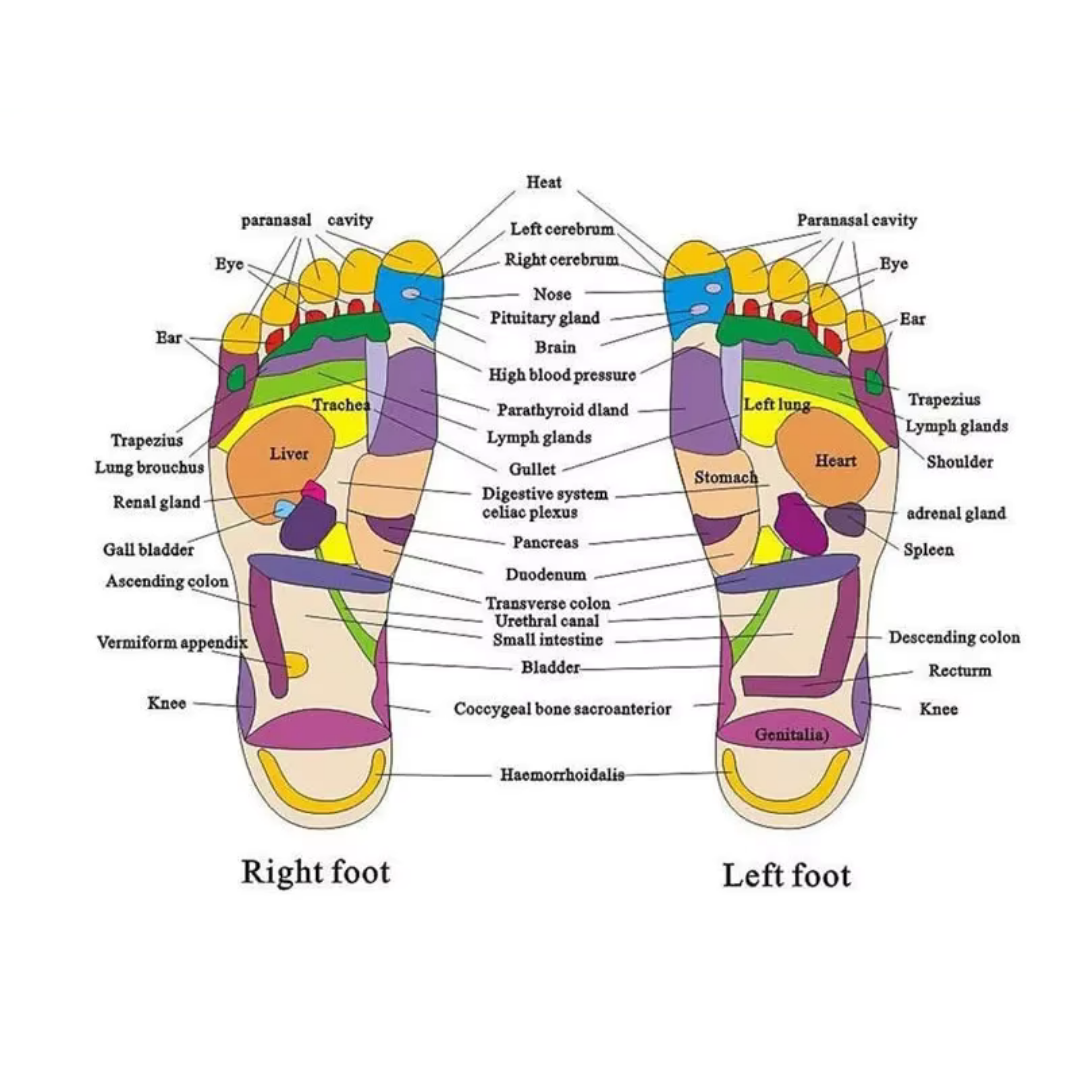 Ankor Shoes Acupoint Slipper